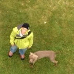 Meet your Posher, Dan